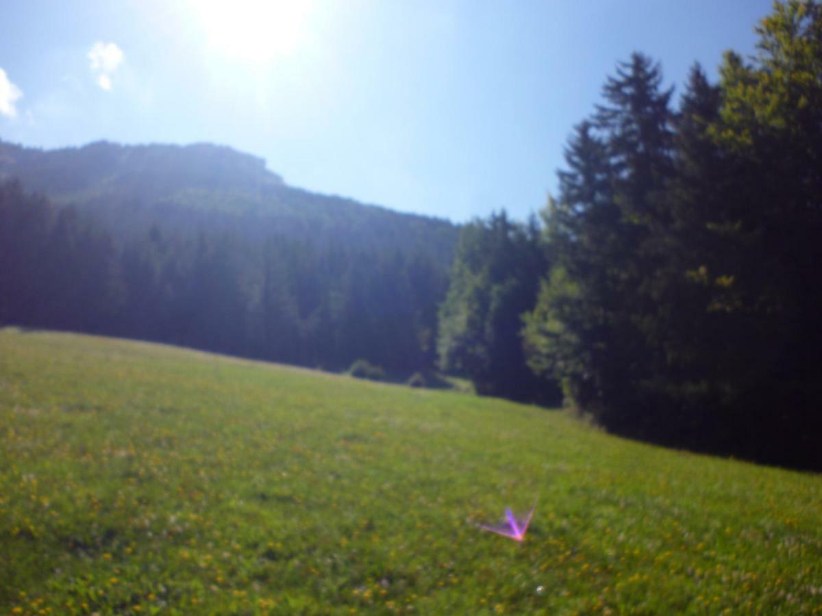 Le Chalet De La Conversaria Bed and Breakfast Villard-de-Lans Eksteriør billede